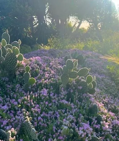 Casa Pipa Alhaurín El Grande - Vrijstaande Casita Met Privé Zwembad En Grote Tuin Сasa de vacaciones *