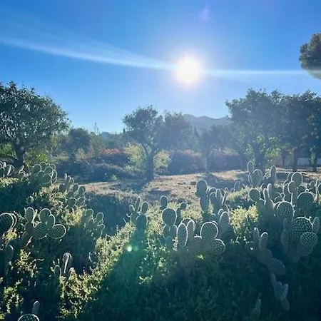 Tatil Evi Casa Pipa Alhaurin El Grande - Vrijstaande Casita Met Prive Zwembad En Grote Tuin *
